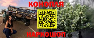 мдпв Рузаевка