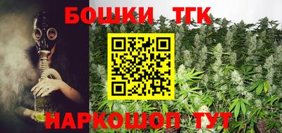 мдпв Рузаевка