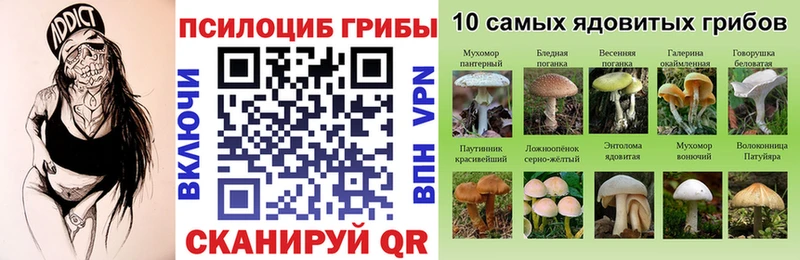 Галлюциногенные грибы Magic Shrooms  Купить где  Якутск 