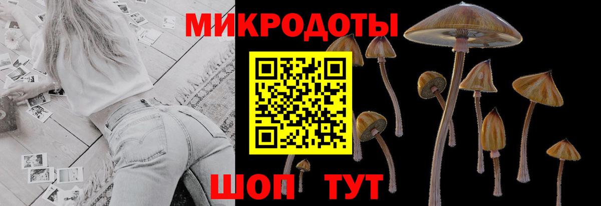 Якутск  Псилоцибиновые грибы мицелий  Вход с VPN 